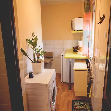 Kertvarosi Kucko Debrecenben! Διαμέρισμα *